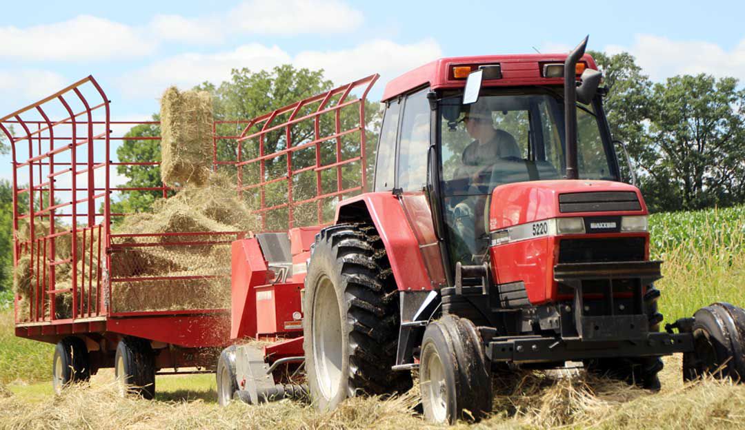 Young Pierz man carries on farming legacy